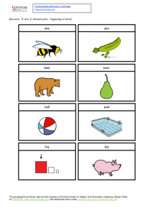 Picture cards - p and b word initial minimal pairs