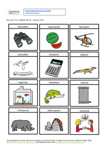 Four Syllable Words Picture Cards