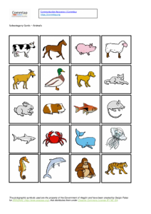 Subcategory - animals - picture cards